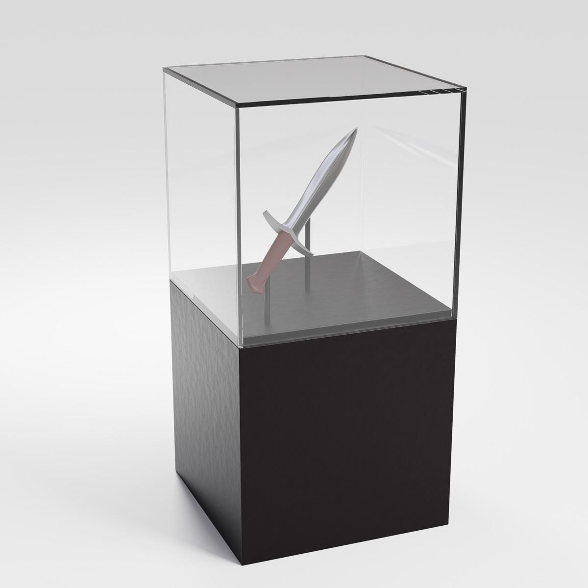 Custom display case built by TLA Graphics